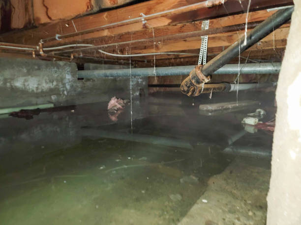 Best Water damage restoration near me  in Star, NC