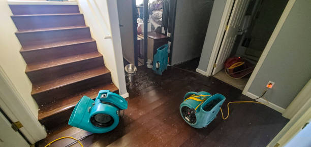 Best Sewage cleanup and water damage restoration  in Star, NC