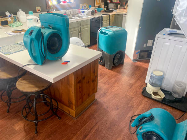 Best Carpet water damage restoration  in Star, NC