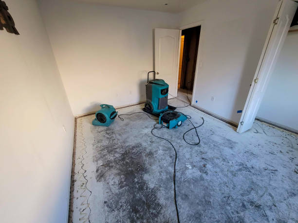 Best Local water damage restoration  in Star, NC