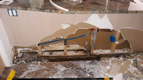 Best Flood damage cleanup  in Star, NC