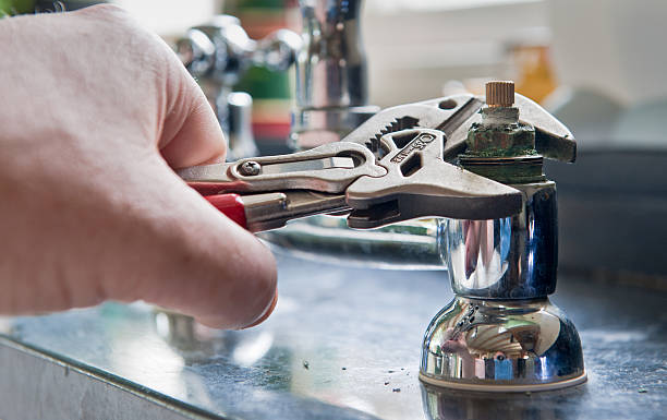 Best Water damage mitigation services  in Star, NC