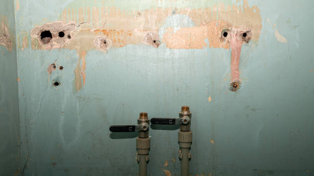 Best 24-hour water damage restoration  in Star, NC