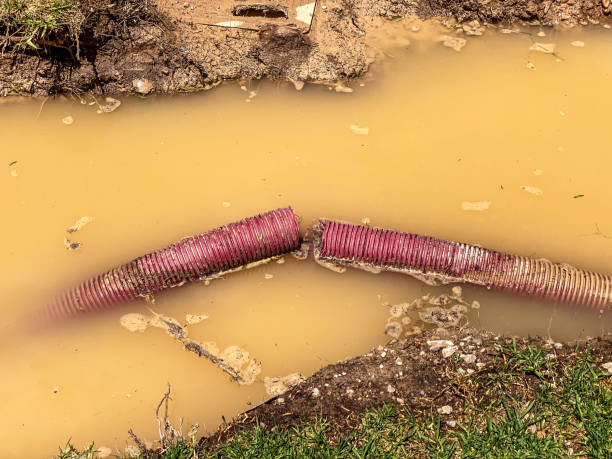 Best Carpet water damage restoration  in Star, NC
