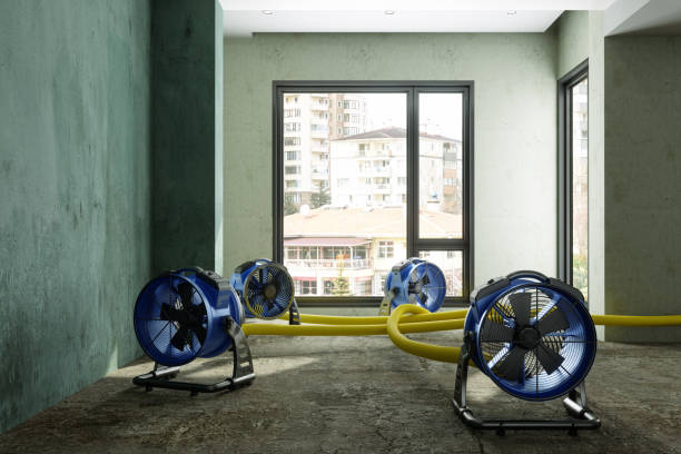 Best Water damage restoration near me  in Star, NC