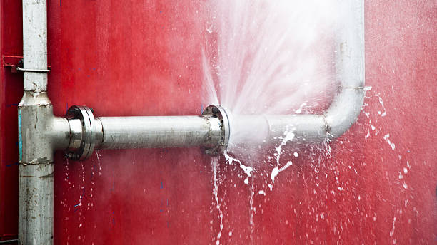 Best Water damage restoration process  in Star, NC