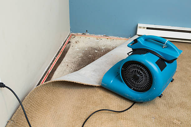 Best Commercial water damage restoration  in Star, NC